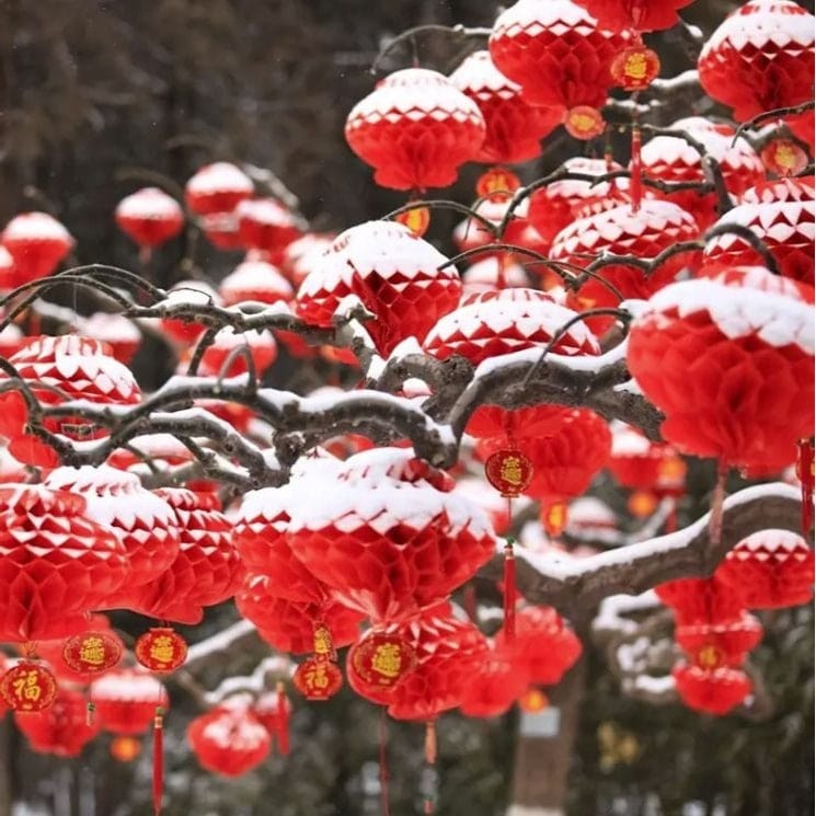 Red Paper Lantern: Festive Round Hanging Lantern for Lunar New Year
