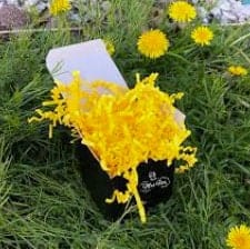 Yellow crinkle cut in a box